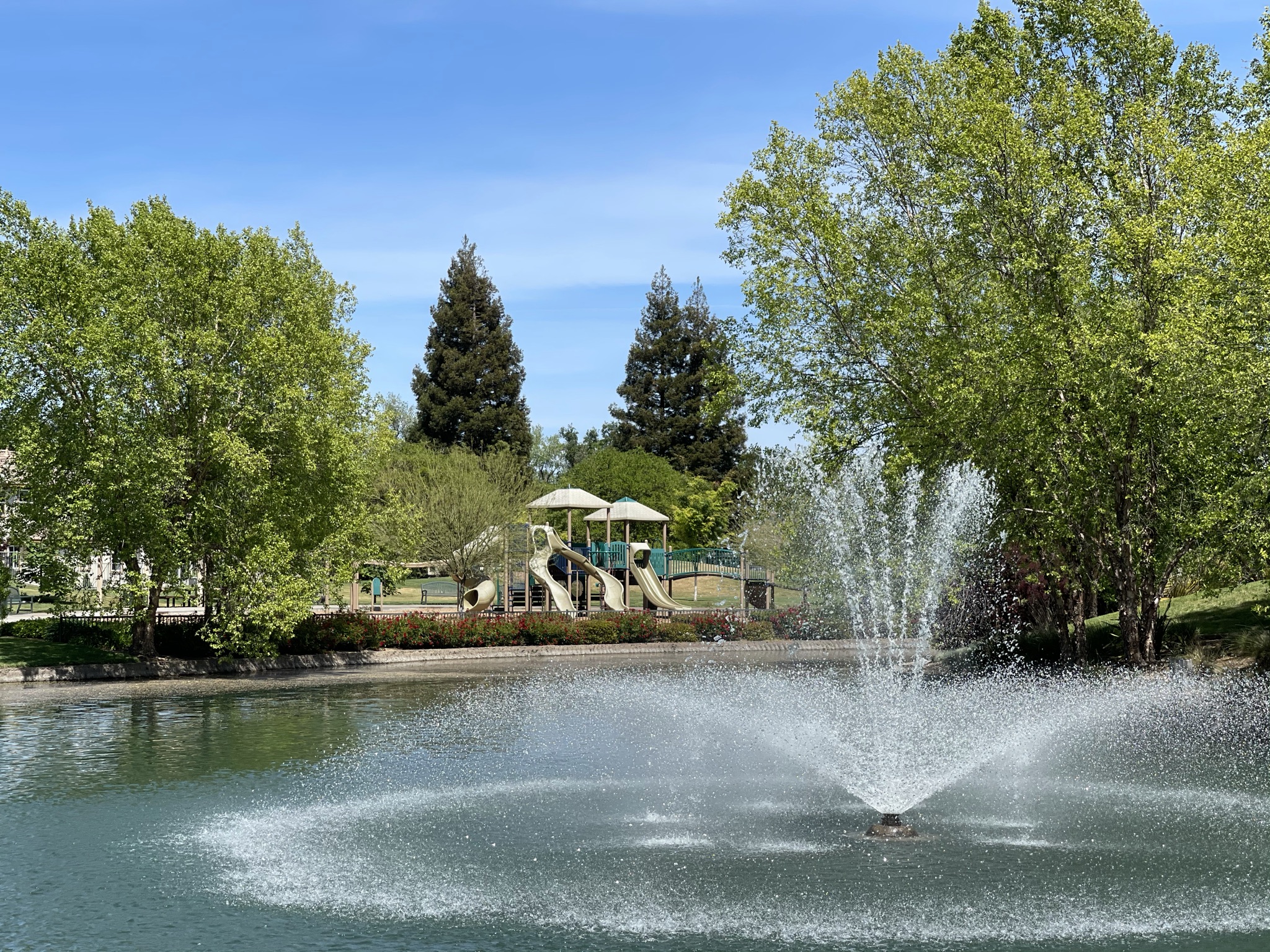 A fountain in a pond.