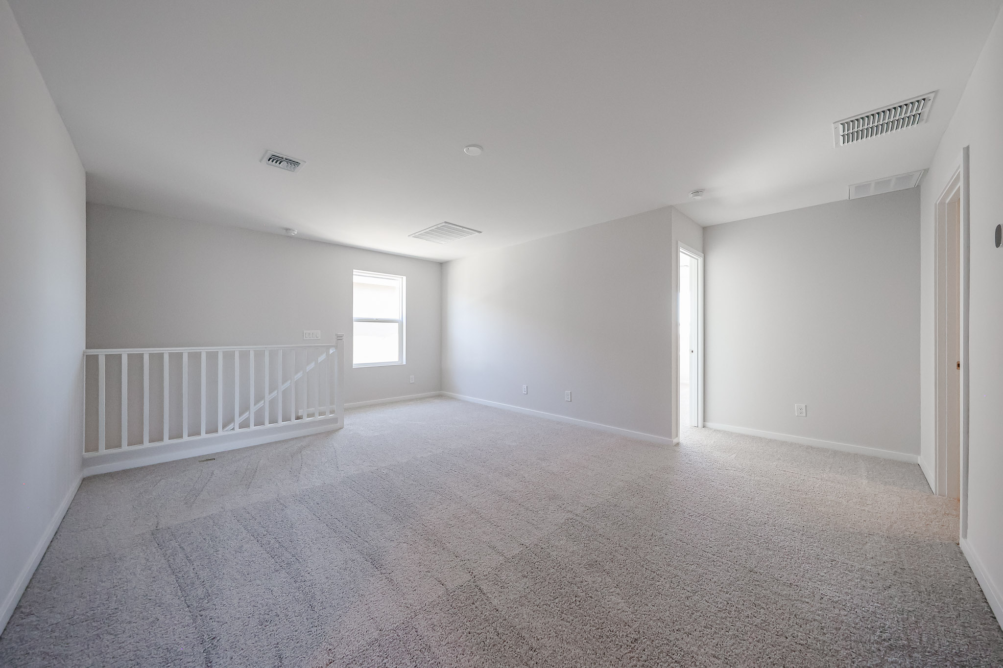 0063 30495 W WHITETHORN ACACIA