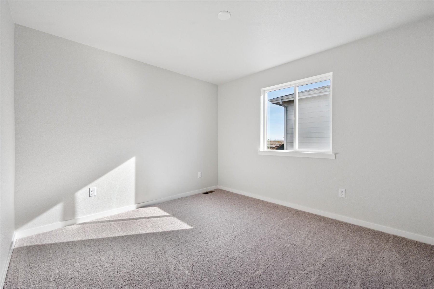 A room with a window and a rug.