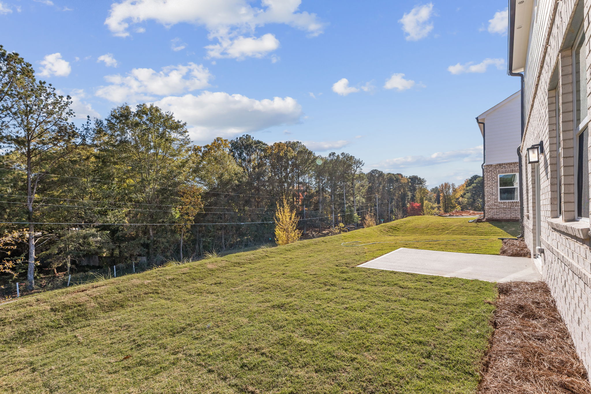 A grassy area with trees and a building in the background.