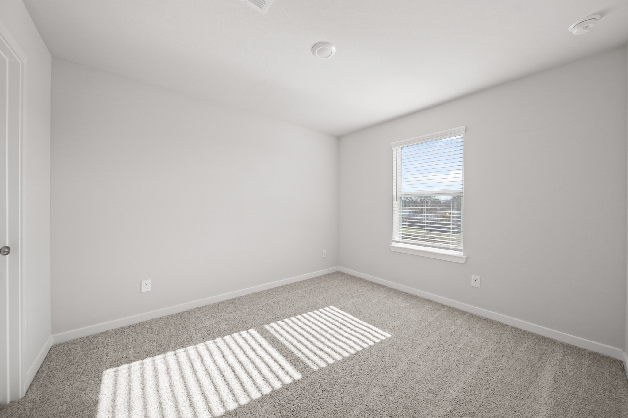 A room with a rug and a window.