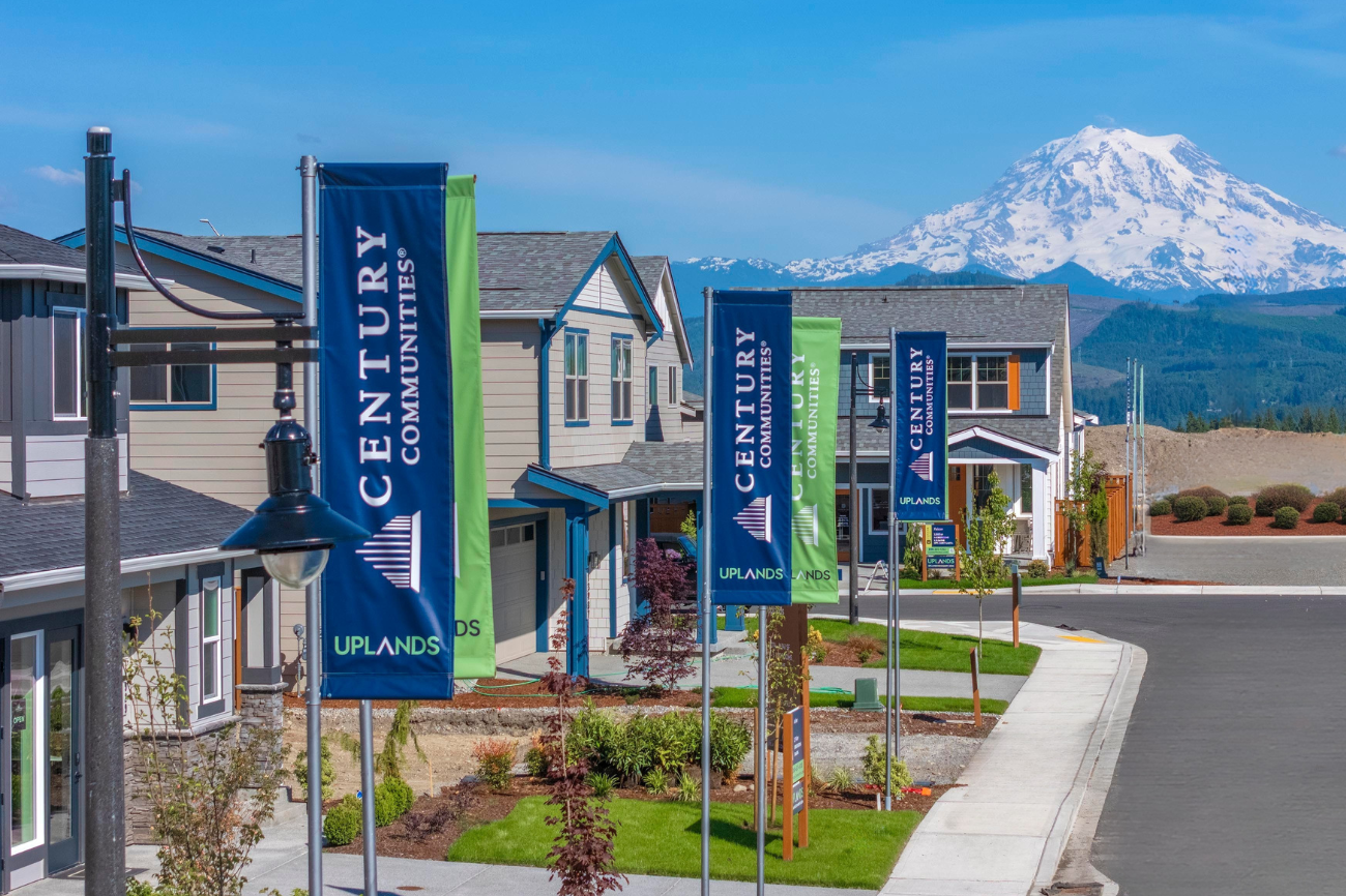A row of buildings with a mountain in the background.