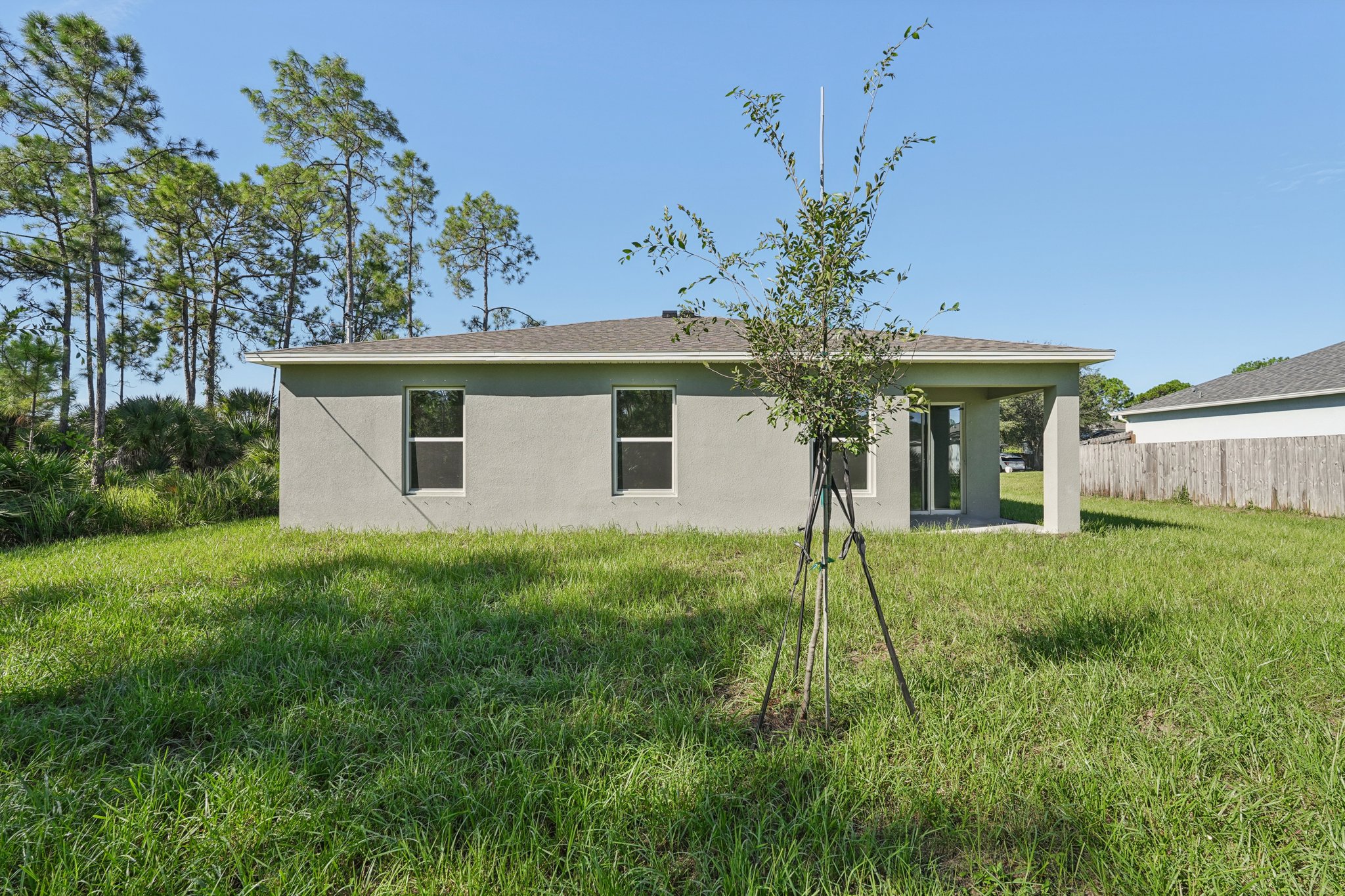 A house with a tree in the front yard.